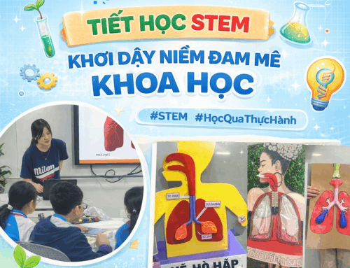 TRẢI NGHIỆM TIẾT HỌC STEM SÁNG TẠO DÀNH CHO HỌC SINH LỚP 6